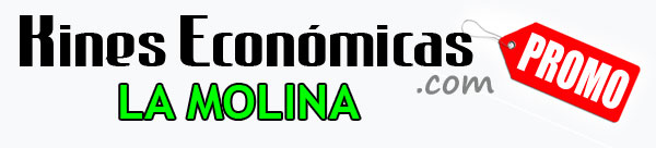 kinesiologas economicas en La Molina