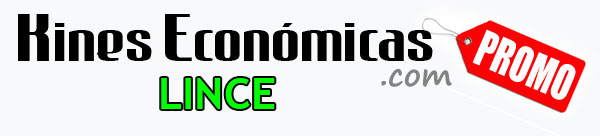 kinesiologas economicas en Lince